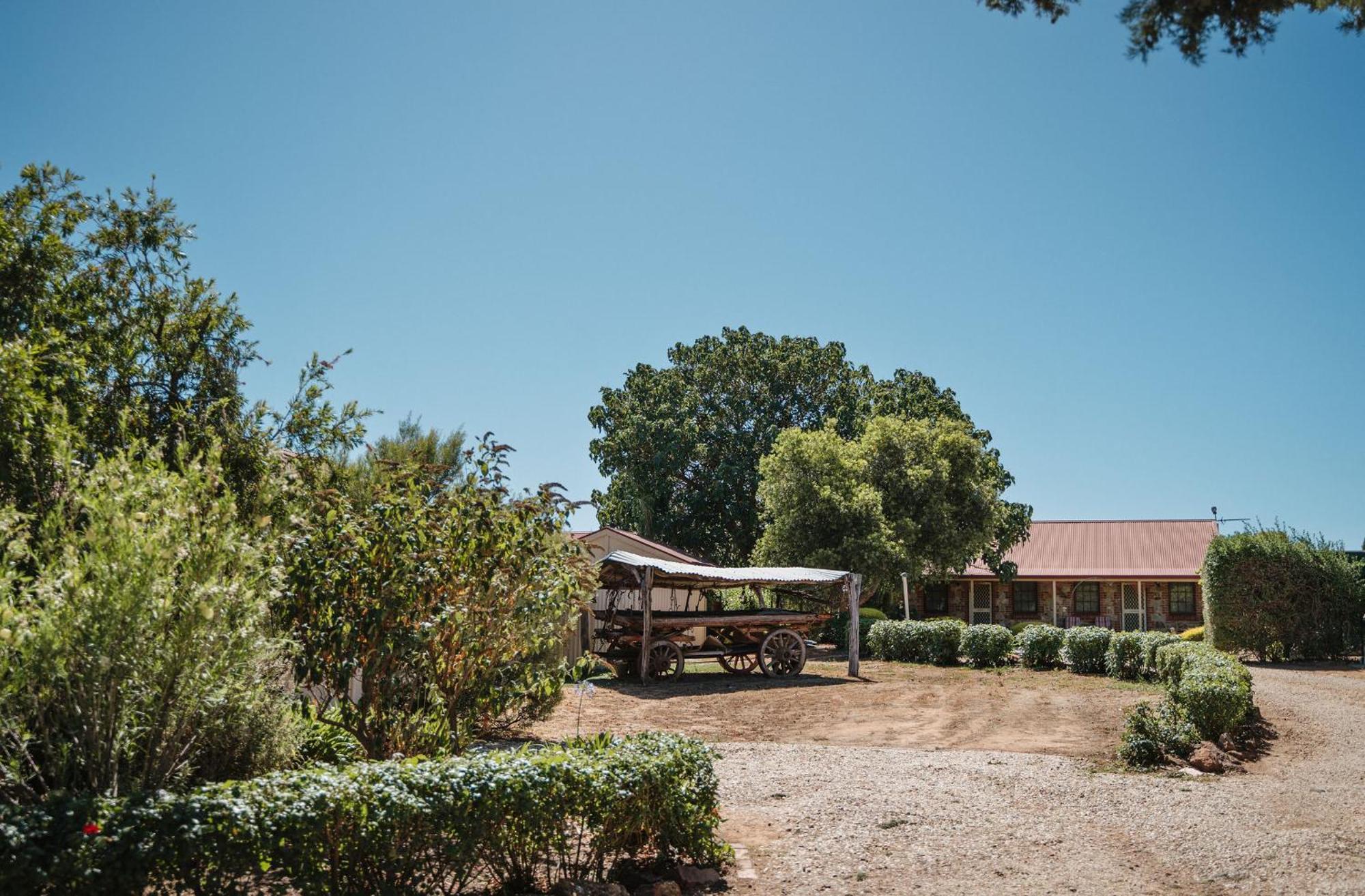 Langmeil Cottages Tanunda Extérieur photo